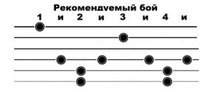 shipok