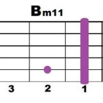 Bm11