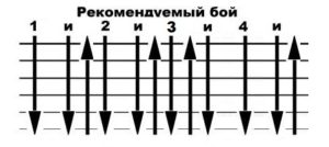 vosmerka_10
