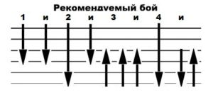 vosmerka_8